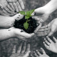 Life The Corner Of Faith Justice For Those Who Choose Risk Over